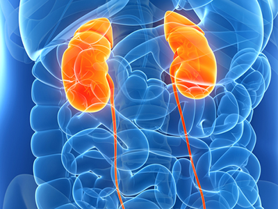 Kidney disorders treatment
