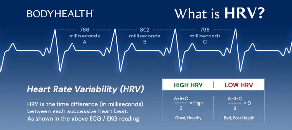 Illustration of heart rate variability (HRV) showing intervals between heartbeats and their relation to stress and recovery