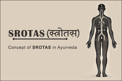 Diagram showing major Srotas in Ayurveda with their functions and benefits for body and mind